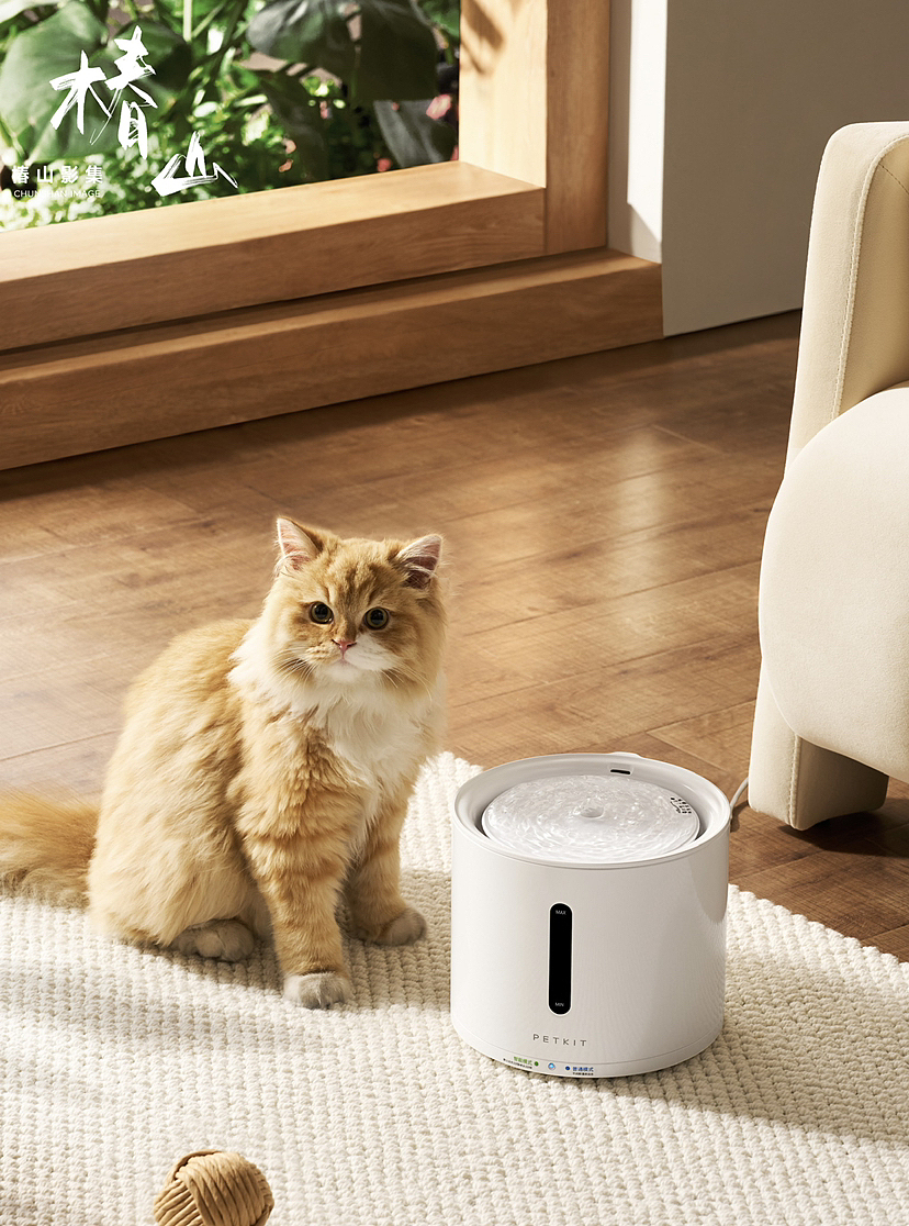 宠物用品拍摄 |小佩×椿山影集（图ZMzY3MzMzNTYw） - 产品摄影 - 站酷设计师麦吉拍摄日常原创素材 - 站酷ZCOOL