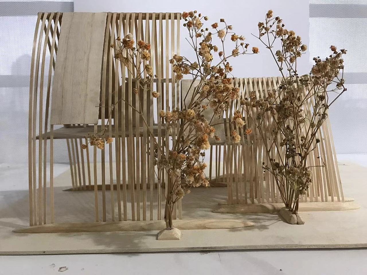 建筑西立面效果