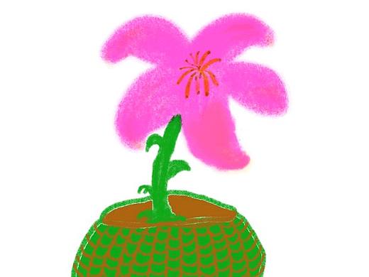 做自己想做的事情