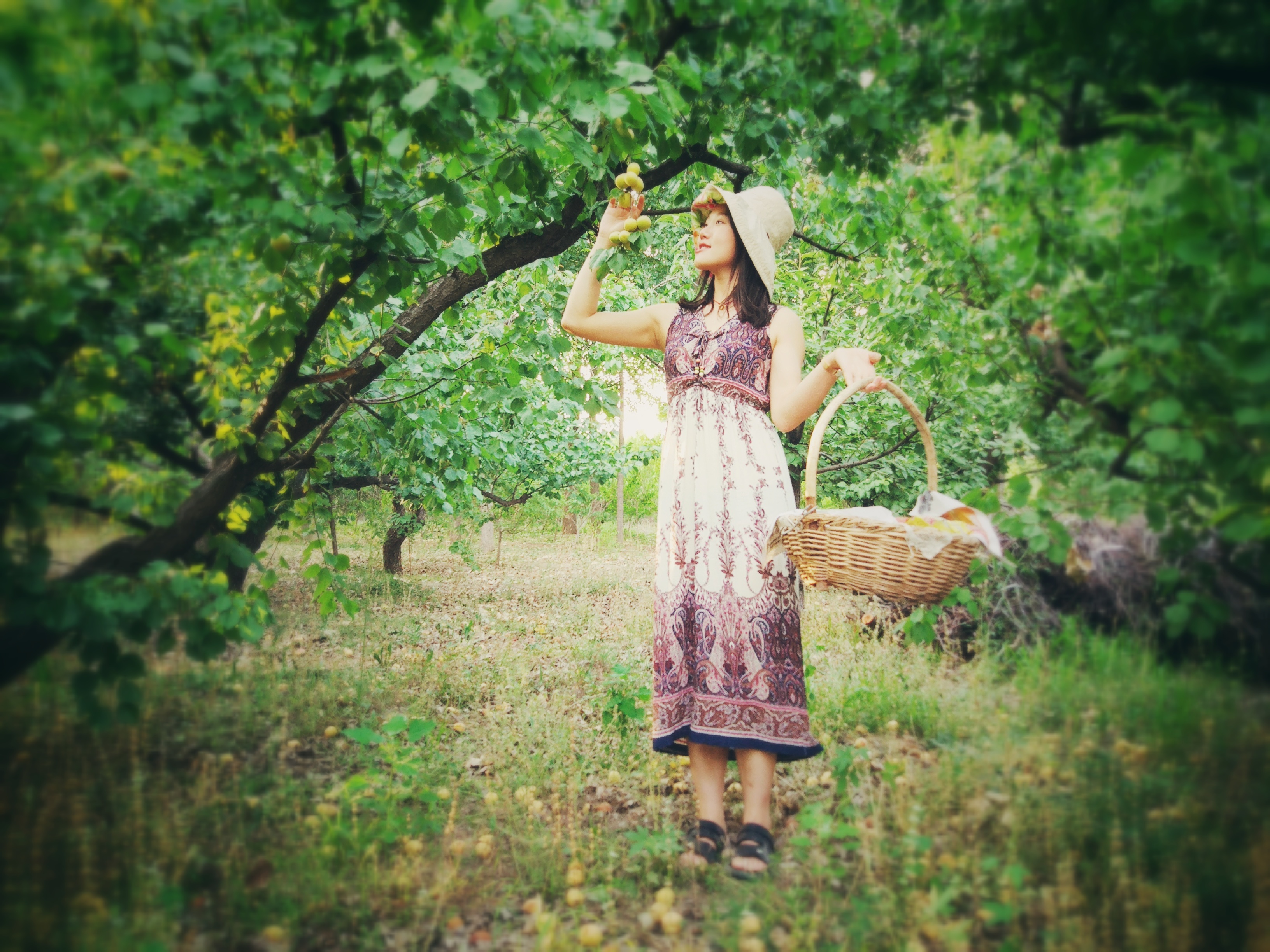 采果果的小姑娘