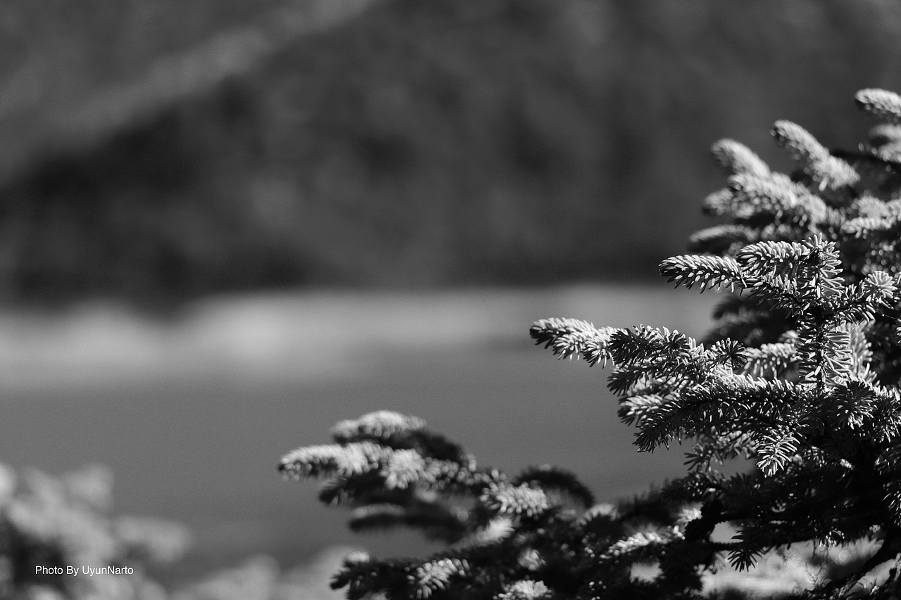 【影像-彩云之南】普达措摄影游记