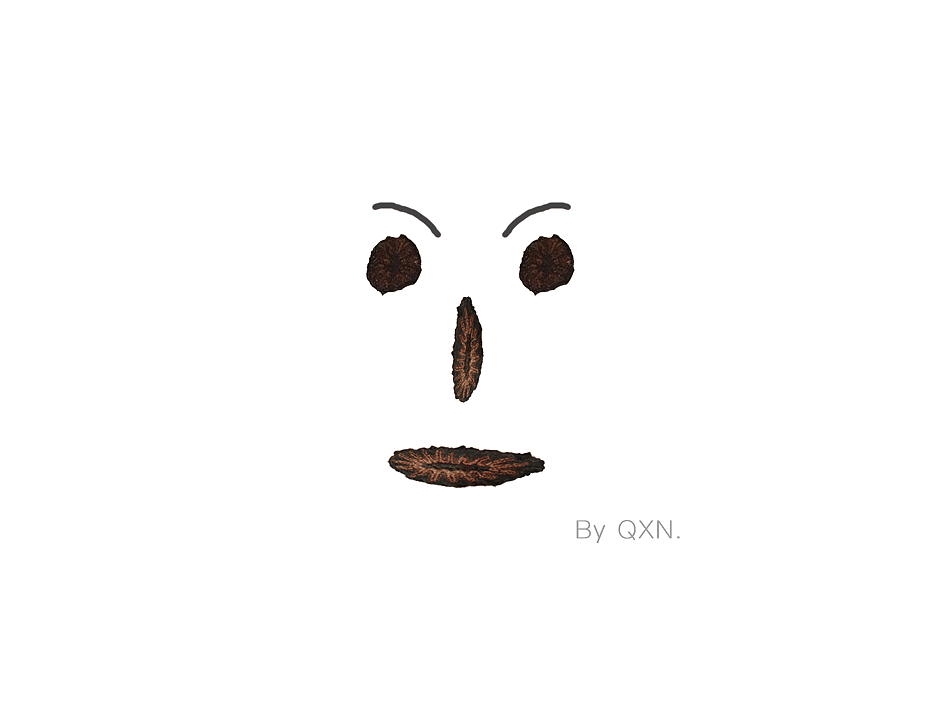 中药也能萌萌哒【创意画三】（图ZNjA4MTY3MDA=） - 艺术插画 - 站酷设计师冬天吃西瓜原创素材 - 站酷ZCOOL