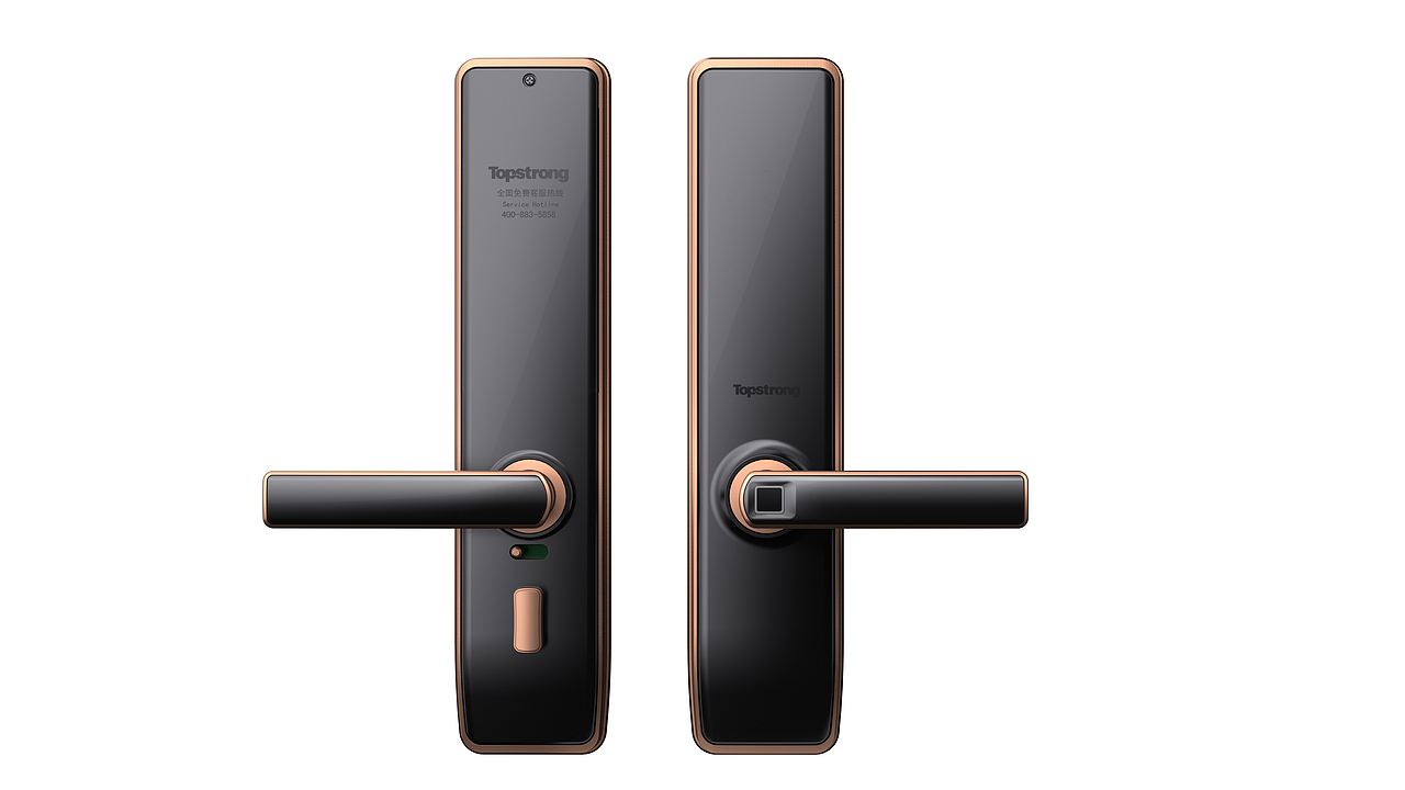 topstrong 顶固 安全门锁渲染图