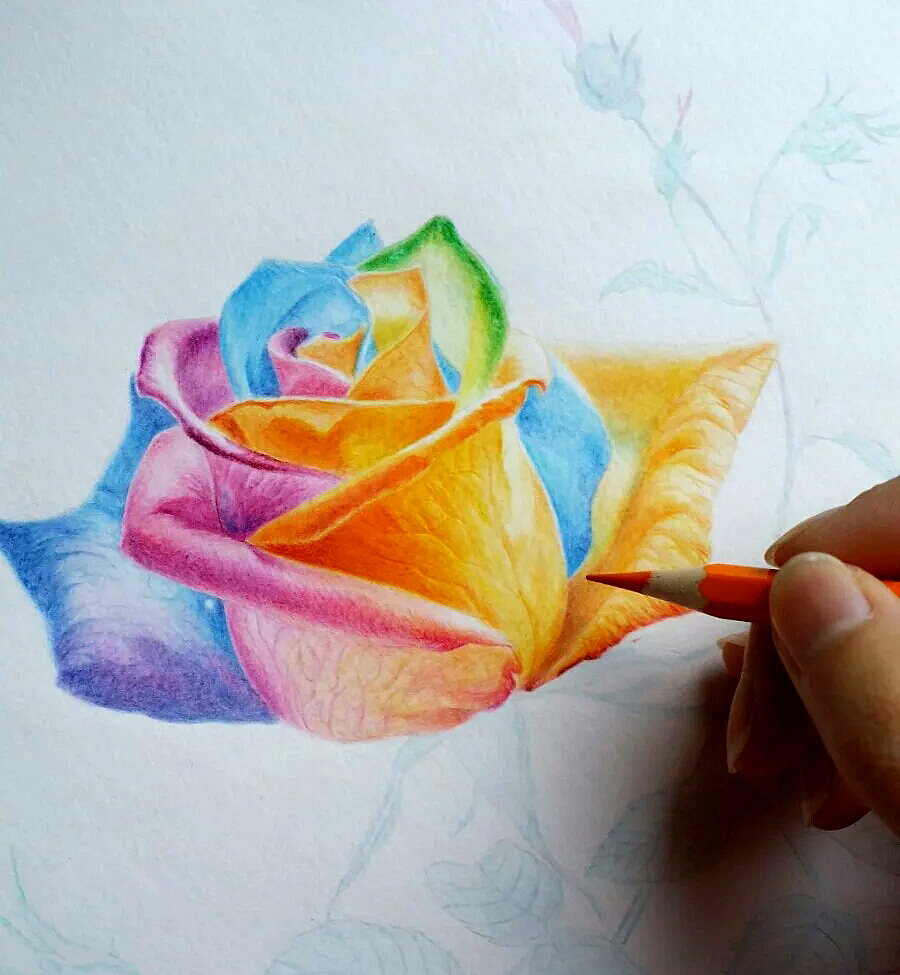 我不知将去向哪里，但我已在路上。——彩铅作业小结（图ZNTYyNTY2MDA=） - 绘画 - 站酷设计师林朵云原创素材 - 站酷ZCOOL