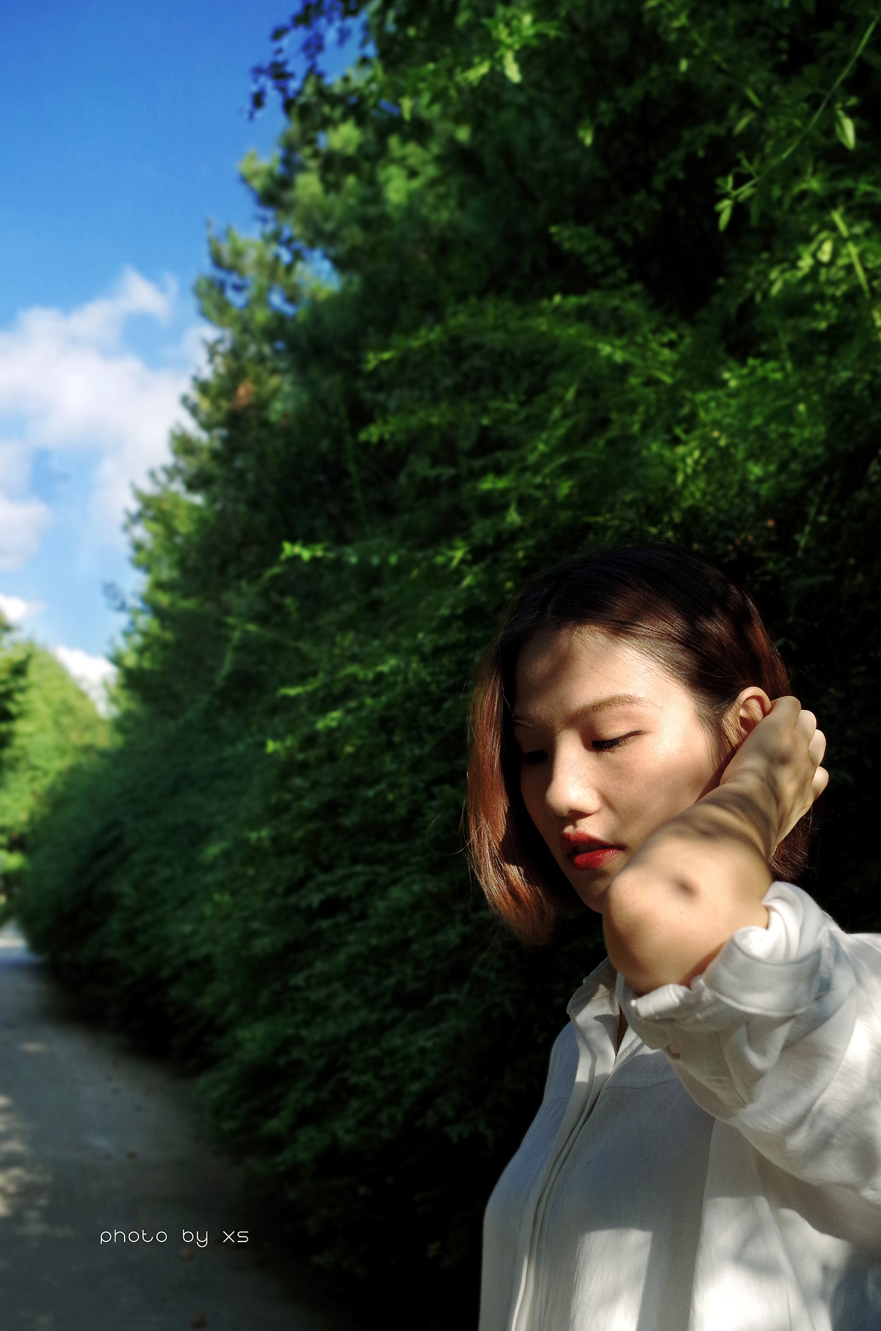 〈洒进阳光里〉