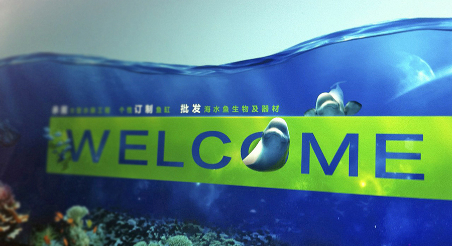 北京漫步水族logo设计 | Beijing Wandering Aquarium logo（图ZMTI2MDQ3MTY=） - Logo - 站酷设计师会飞的辉原创素材 - 站酷ZCOOL