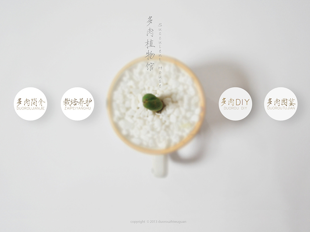 多肉植物馆（图ZMjUxNTk5Njg=） - 运营设计 - 站酷设计师共二亓原创素材 - 站酷ZCOOL