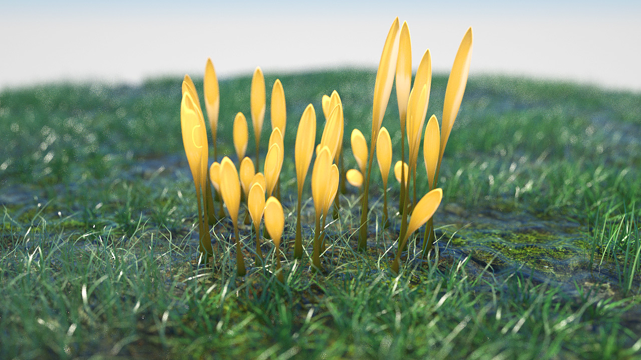 2个月来的渲染作品集合