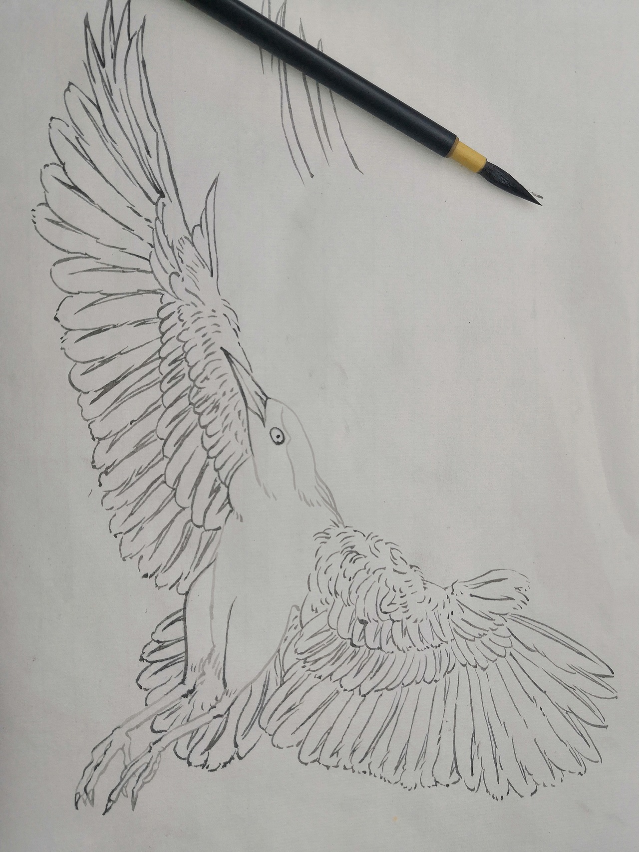 纹身练习（图ZMTQ0NjIwNTk2） - 其他 - 站酷设计师一个人与狗原创素材 - 站酷ZCOOL