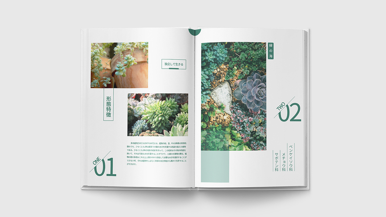 画册（图ZMTcyNzQ2MTQw） - 书籍/画册 - 站酷设计师CAONEZERO原创素材 - 站酷ZCOOL