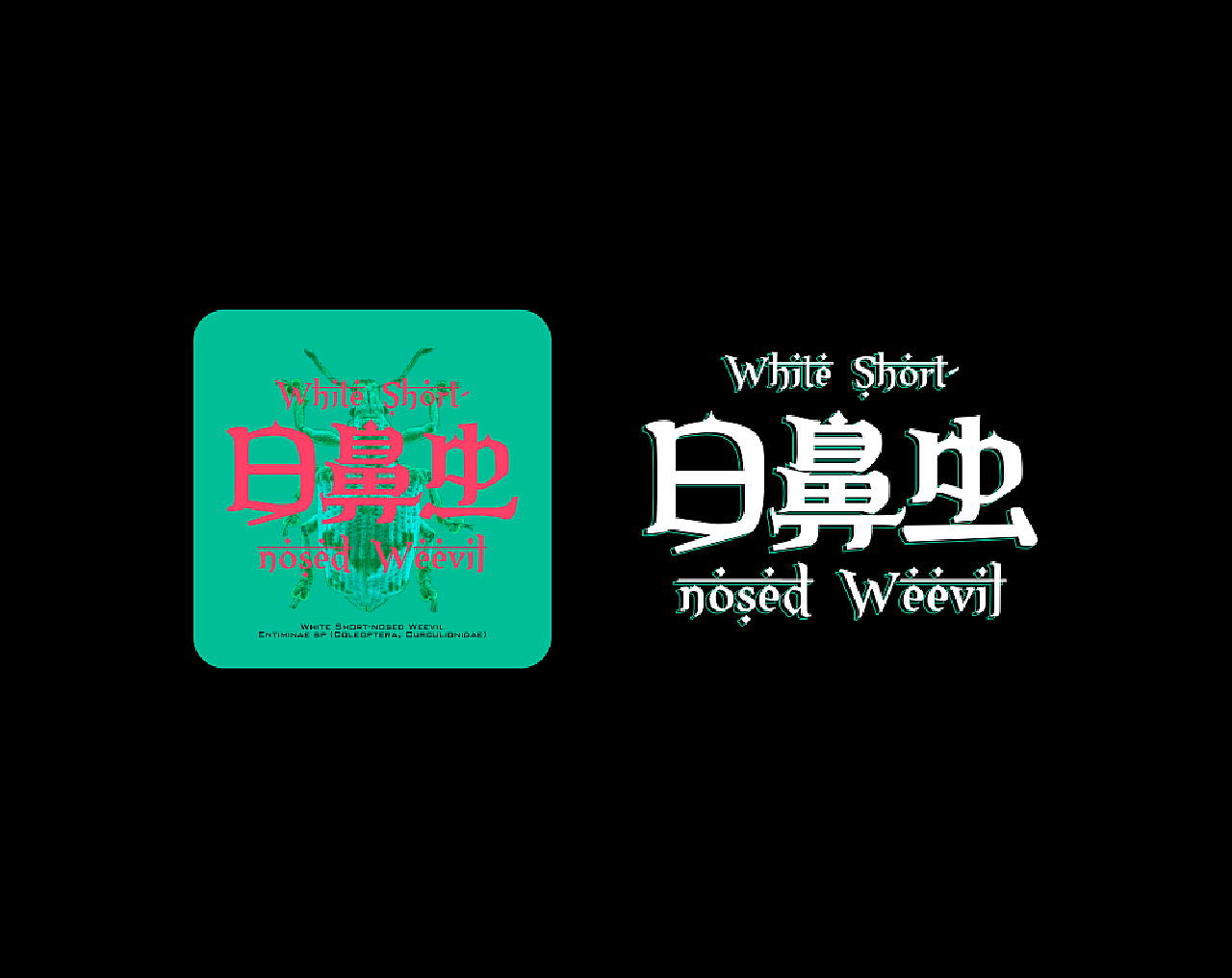 字体设计昆虫记