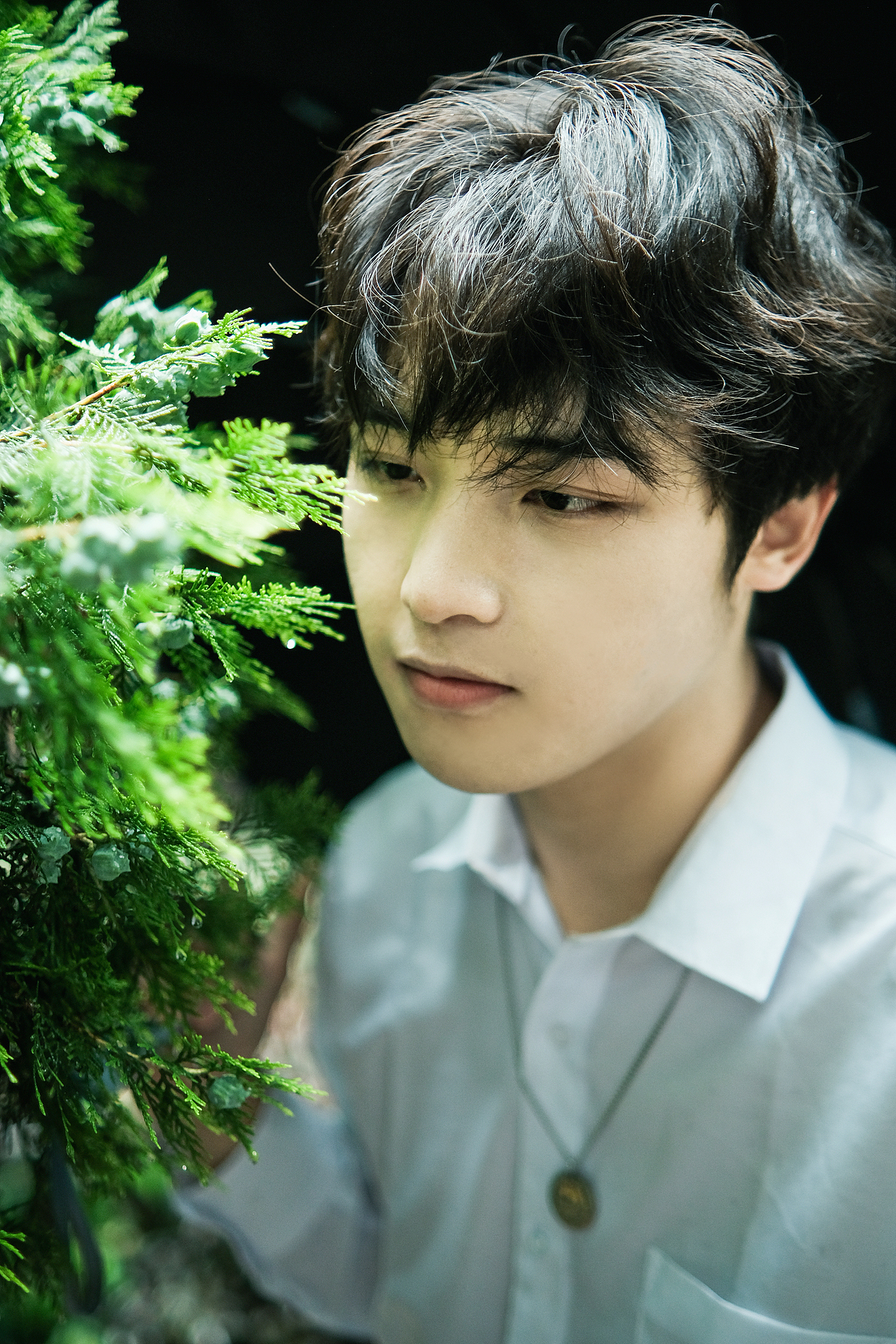 雨天的绿色也生机盎然