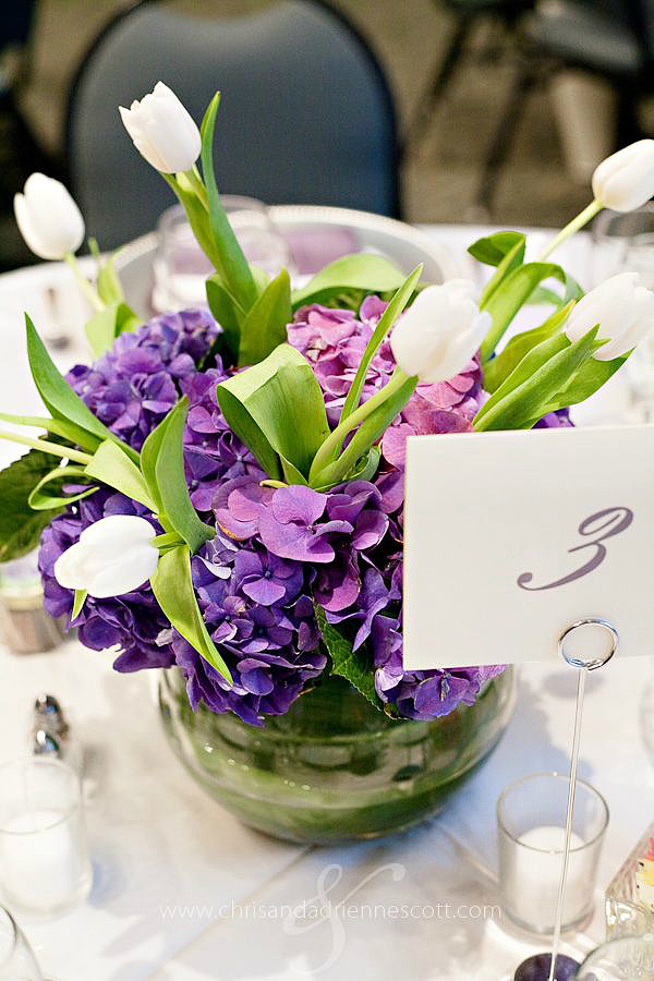 紫色元素（图ZMjE2MDE3OTQw） - 产品摄影 - 站酷设计师清平么么哒原创素材 - 站酷ZCOOL