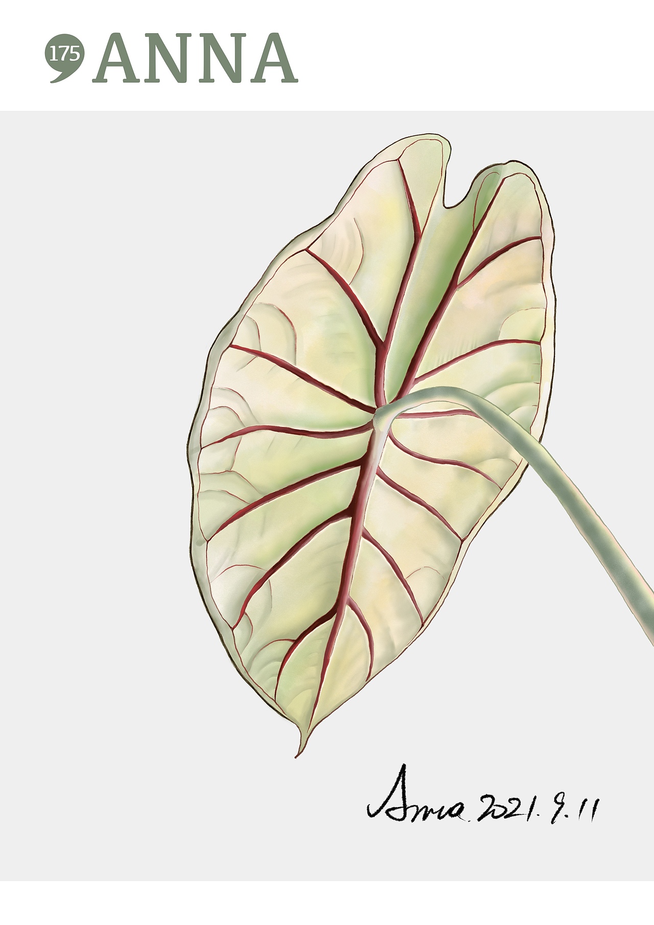 花卉类水彩习作