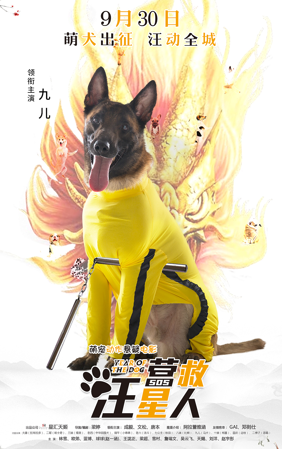《营救汪星人》李小龙系列海报（图ZMTI2MDA1MjAw） - 海报 - 站酷设计师S7ART原创素材 - 站酷ZCOOL