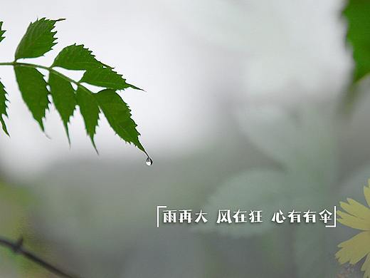 雨季的小情绪（个人主页-ZNTI4MDc0NTI=） - 其他摄影 - 站酷设计师随心deW原创素材 - 站酷ZCOOL