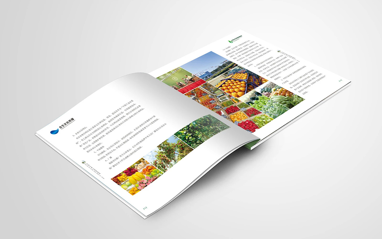 大香山生态农果物联城(投标书)