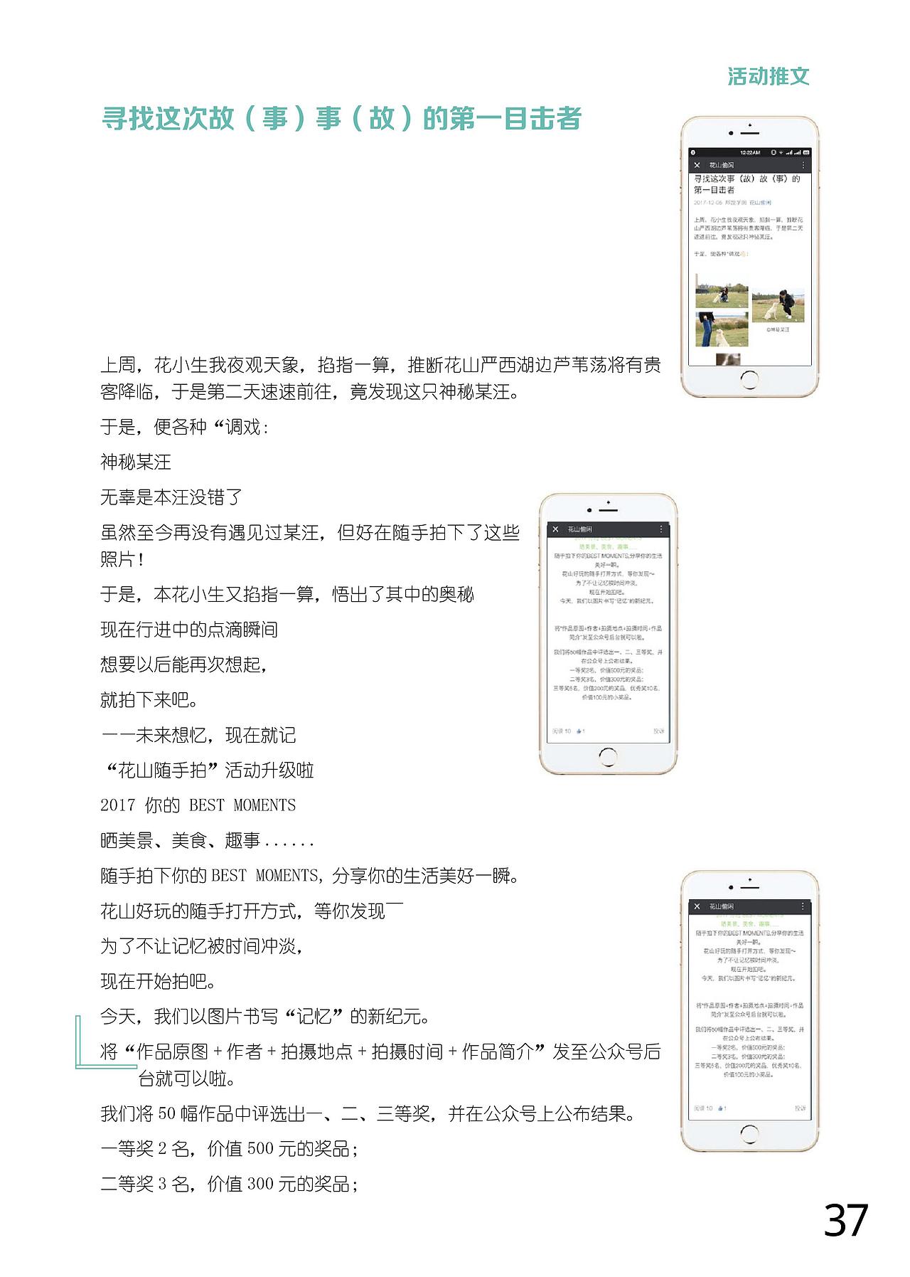 《花山偷闲》公众号运营项目