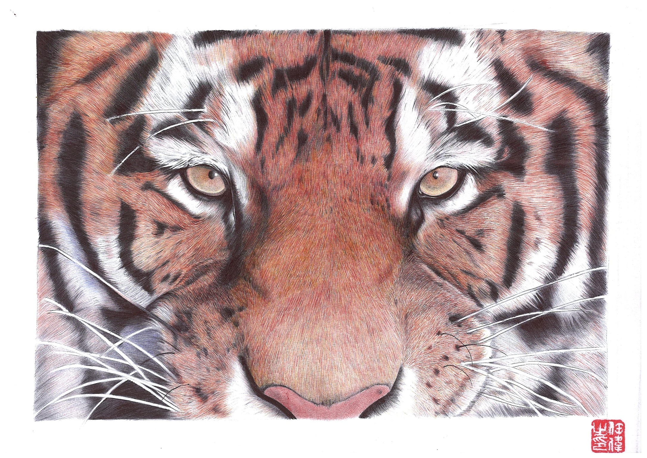 圆珠笔画 可爱的动物们