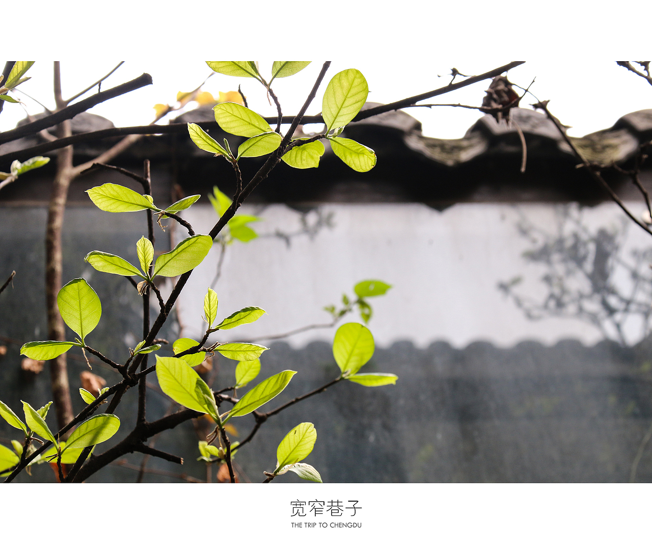 蓉城成都（图ZNDU0OTc3NTI=） - 风光摄影 - 站酷设计师十一月的疯子原创素材 - 站酷ZCOOL