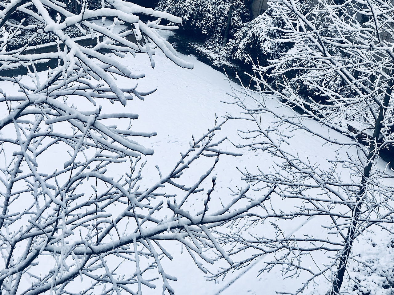 有一种雪境叫杭州的雪