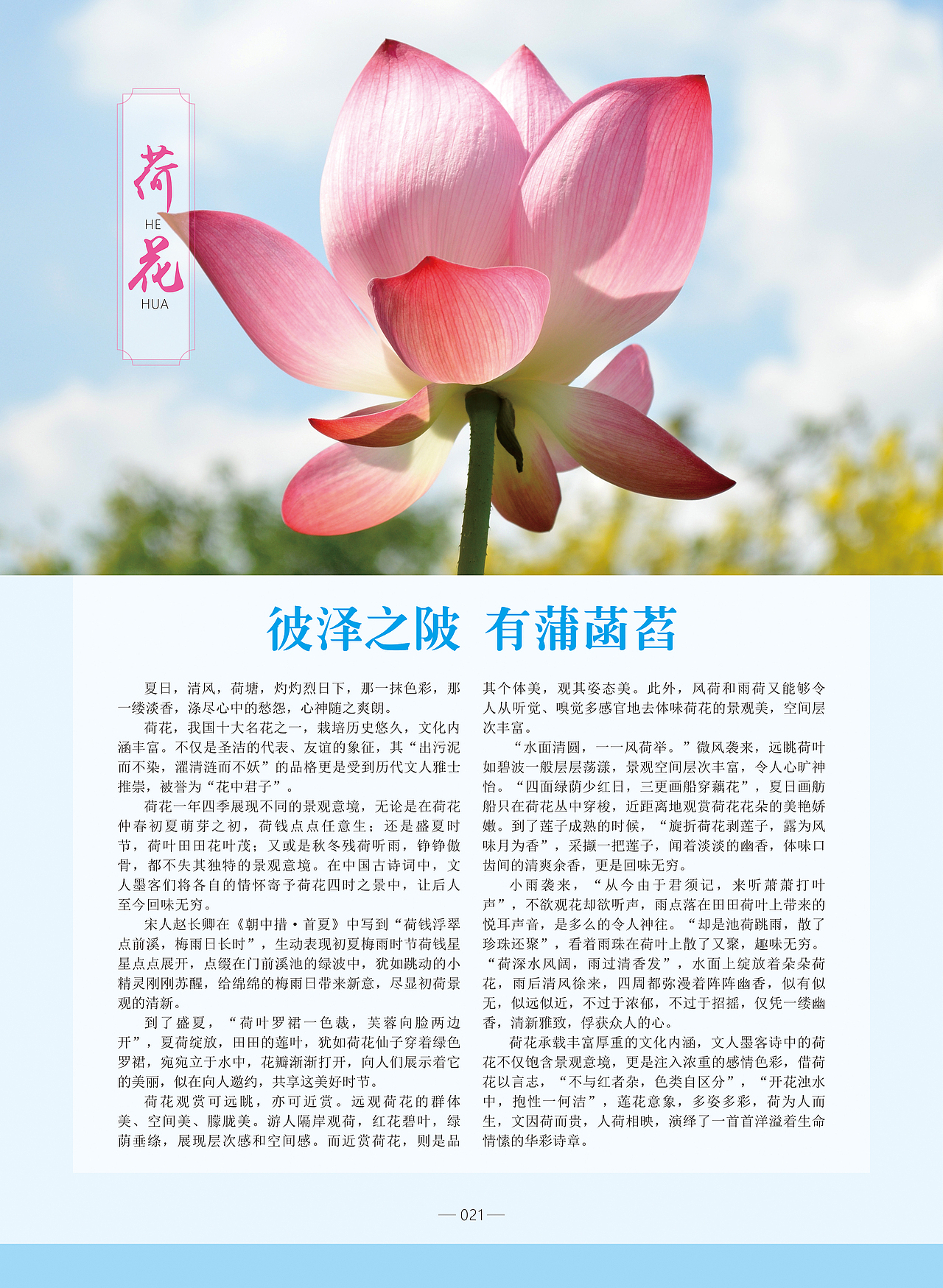 《陶都优品》,茶之美,器之灵——宜兴!