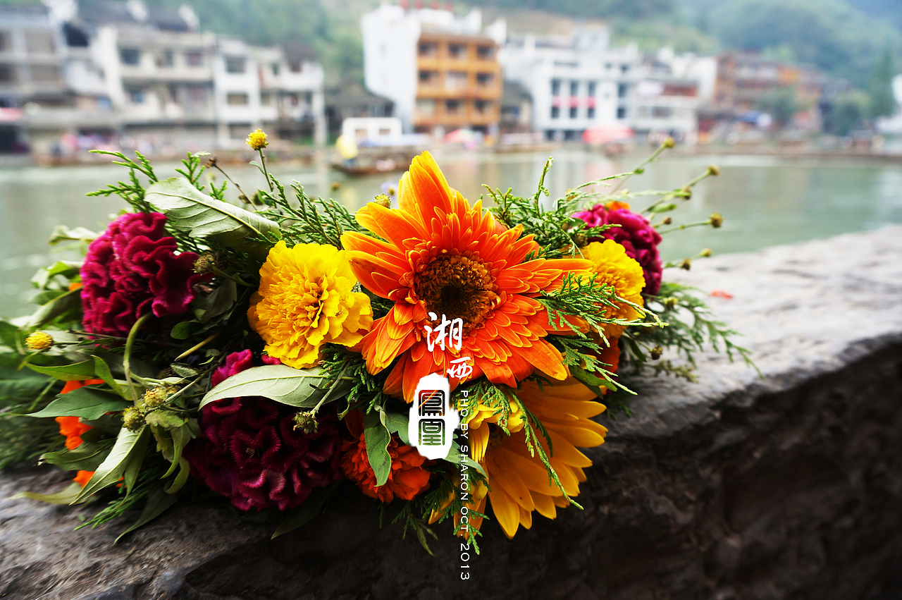 凤凰之旅（图ZMTM2MzQxNTI=） - 风光摄影 - 站酷设计师Sharonwon原创素材 - 站酷ZCOOL