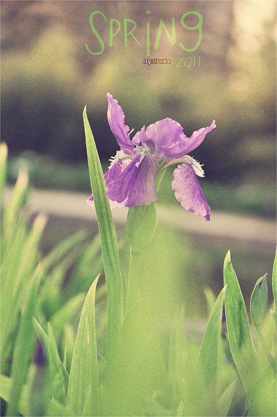 春天的随便乱照（图ZMjk5MjYyNA==） - 风光摄影 - 站酷设计师chobi原创素材 - 站酷ZCOOL