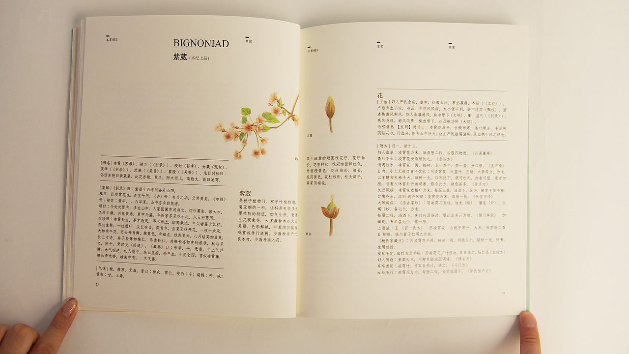 《本草纲目》书籍再设计（图ZNTg4MDI3NjA=） - 书籍/画册 - 站酷设计师丢了个丢666原创素材 - 站酷ZCOOL