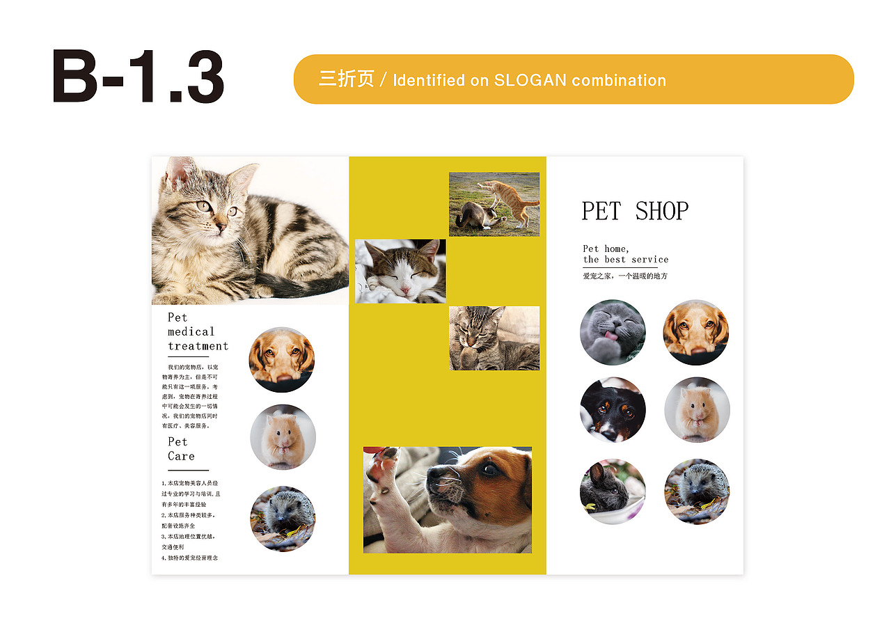 宠物VIS手册（图ZMTc4NTA4MjY4） - PPT/Keynote - 站酷设计师小小Y设计师丶原创素材 - 站酷ZCOOL