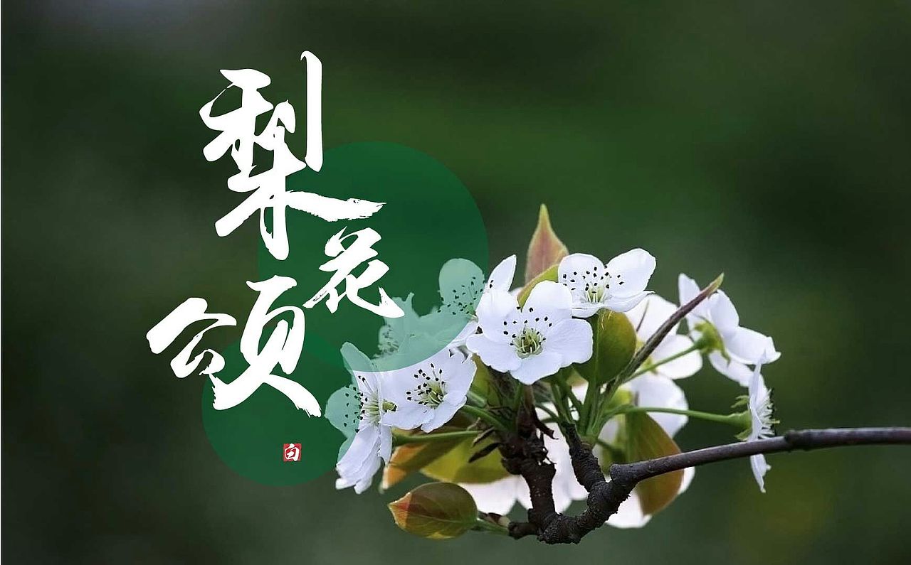 字体设计|梨花颂