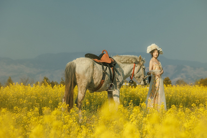 花开花落,不记凋零,因为有你,温暖着光阴