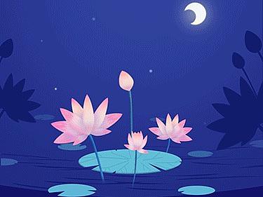 荷塘月色-天气动效