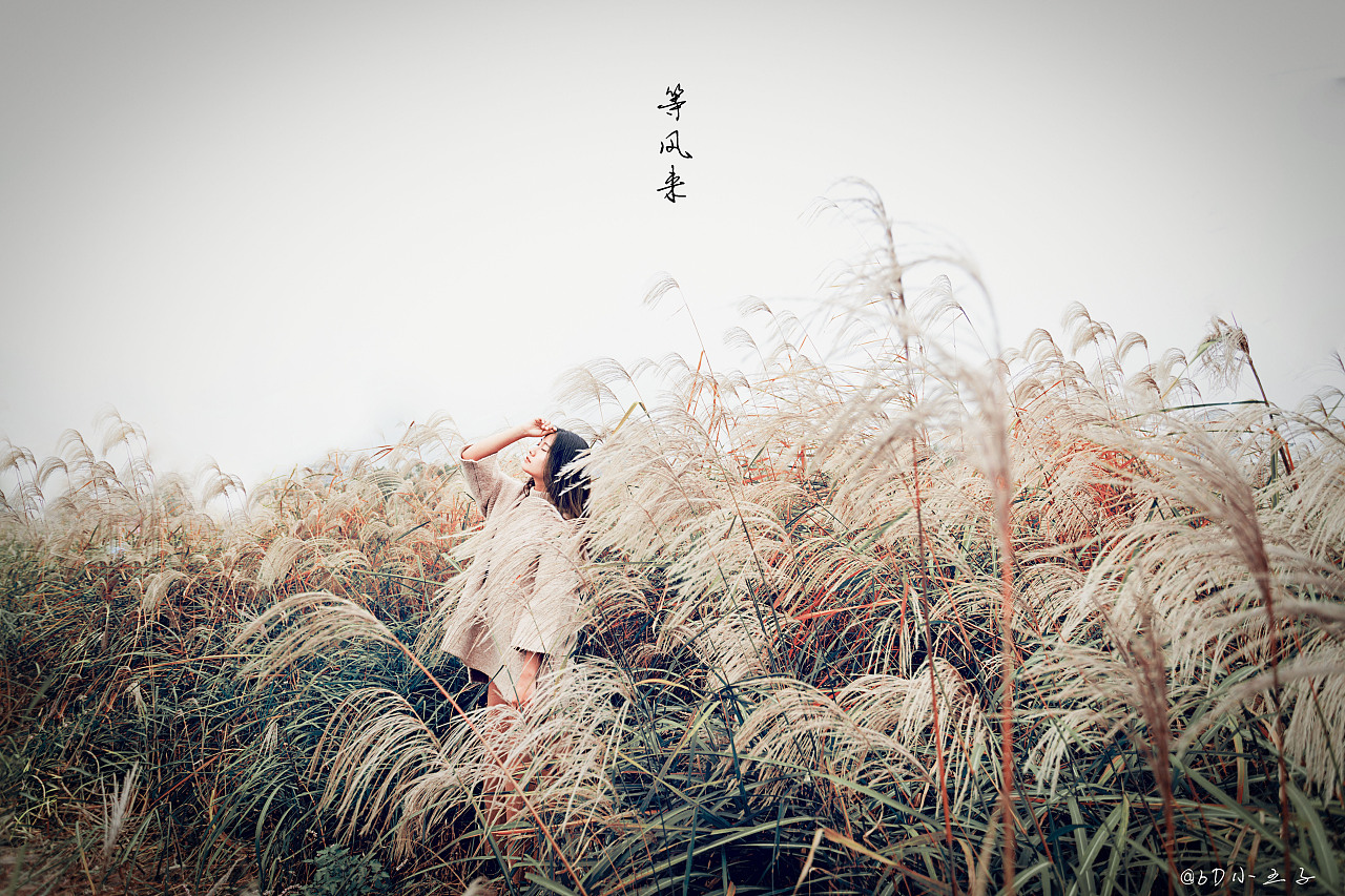 等风来