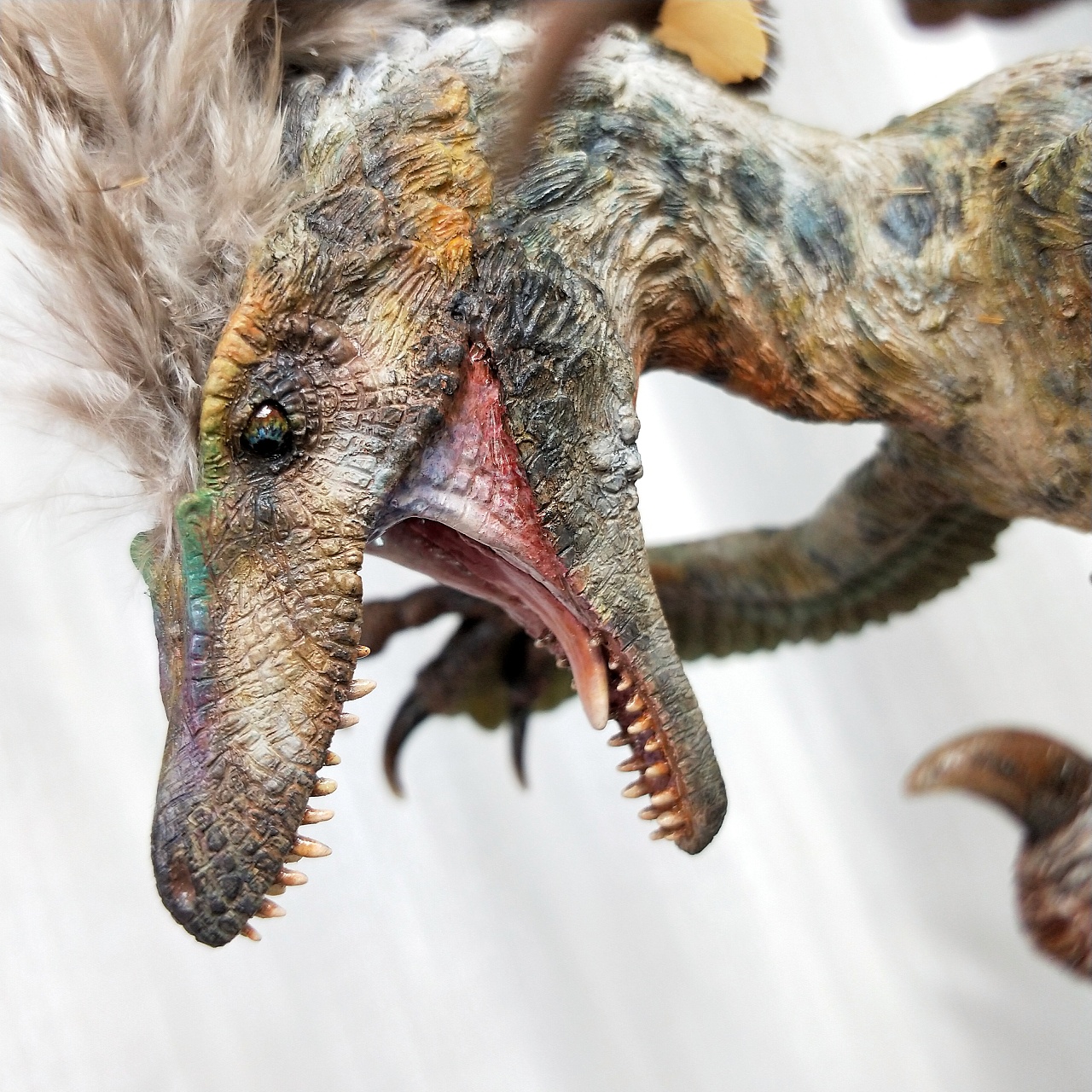 涂装作品丨森森 伶盗龙捕食|手工艺|手办/模玩|南