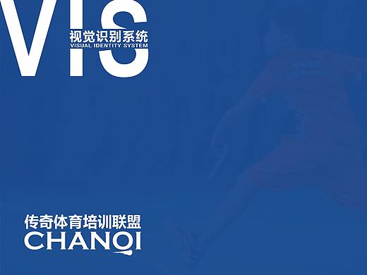 传奇体育培训联盟VIS