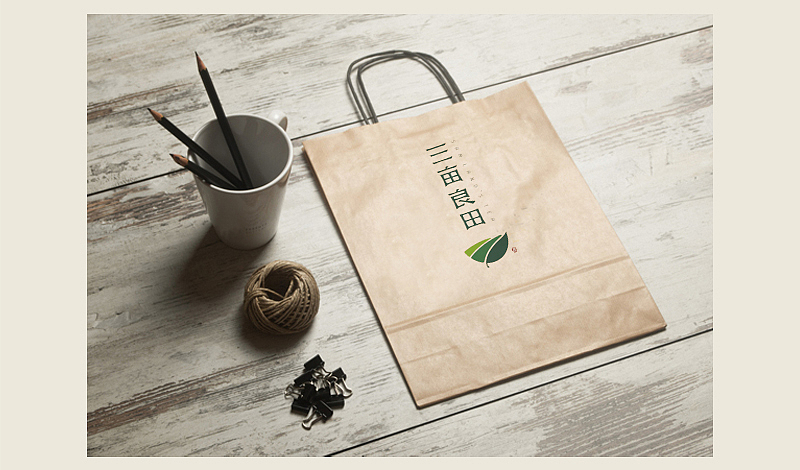 "三亩良田"LOGO设计飞机案例