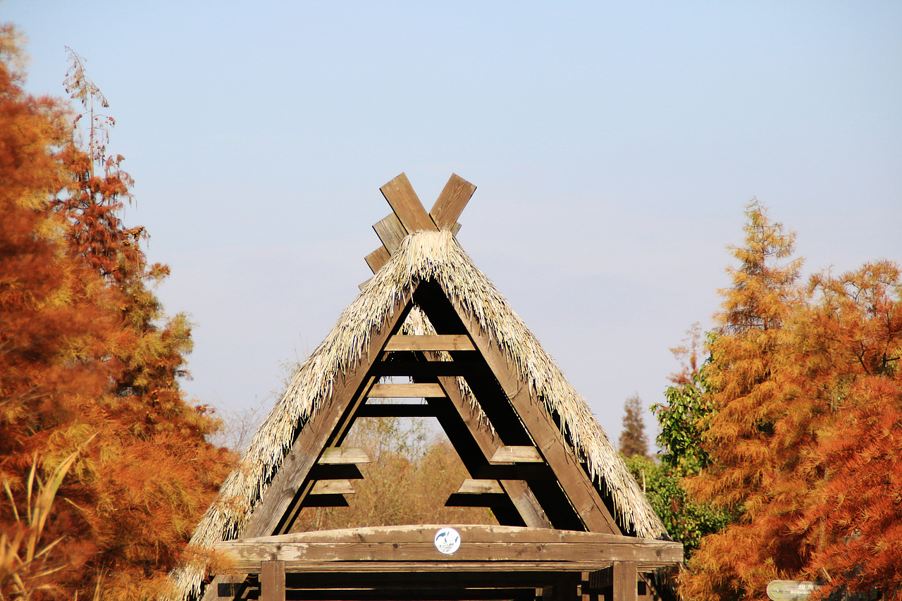 崇明西沙湿地（图ZNjUyODA0MjA=） - 风光摄影 - 站酷设计师1174337661原创素材 - 站酷ZCOOL