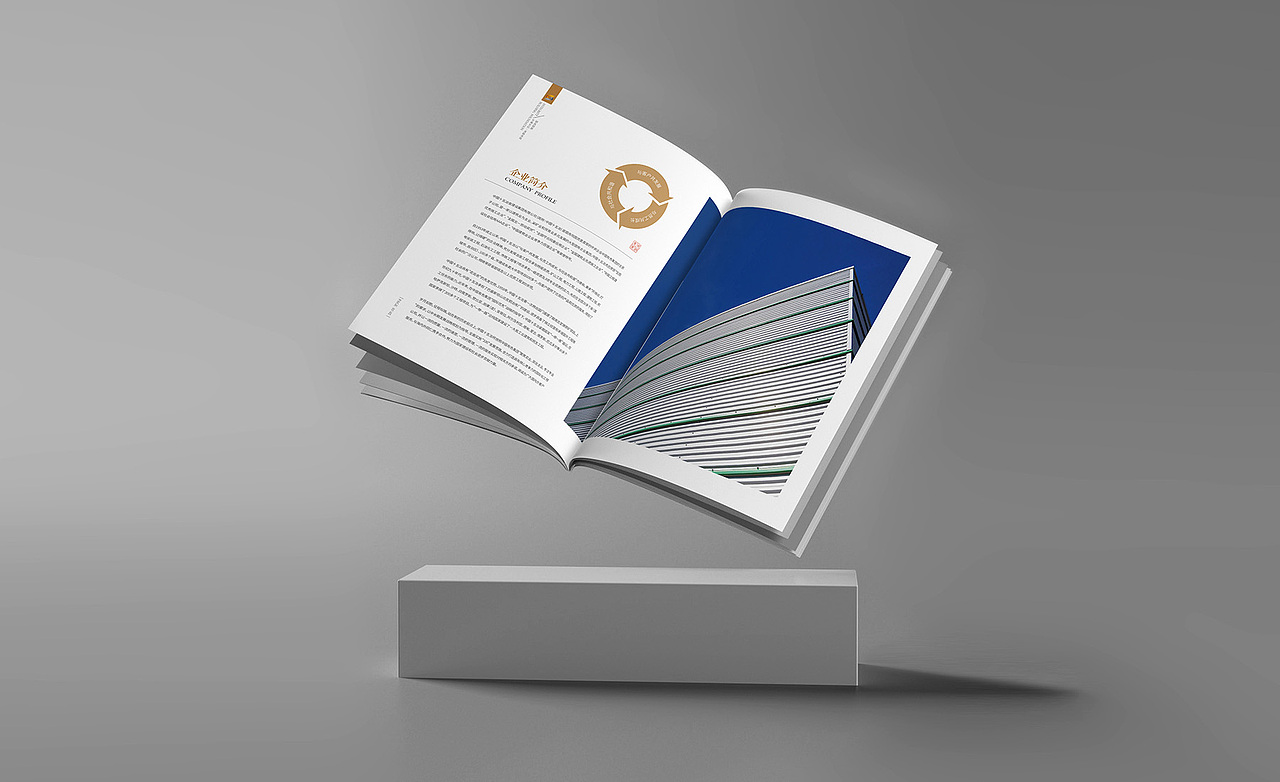 画册设计（图ZMjY5Njk1MDEy） - 书籍/画册 - 站酷设计师颜社创意原创素材 - 站酷ZCOOL