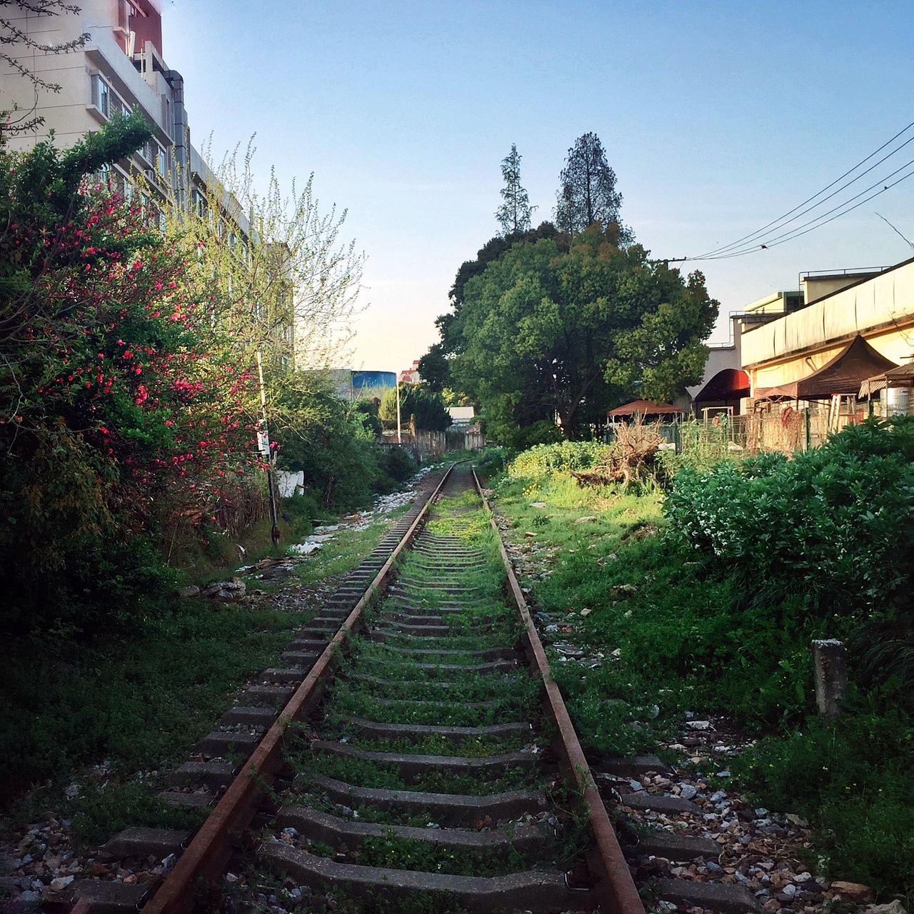走南闯北,咀嚼城市细节