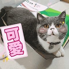 第二套微信表情包上架啦