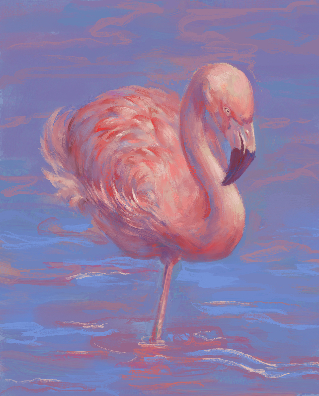 火烈鸟|插画|创作习作|是彦啊彦_原创作品-站酷(zcool)