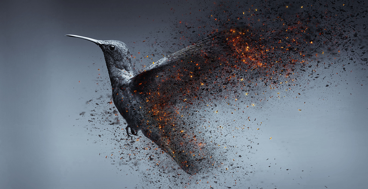 动物静物人物燃尽消散特效ps动作psd分层教程wwwmoyucom