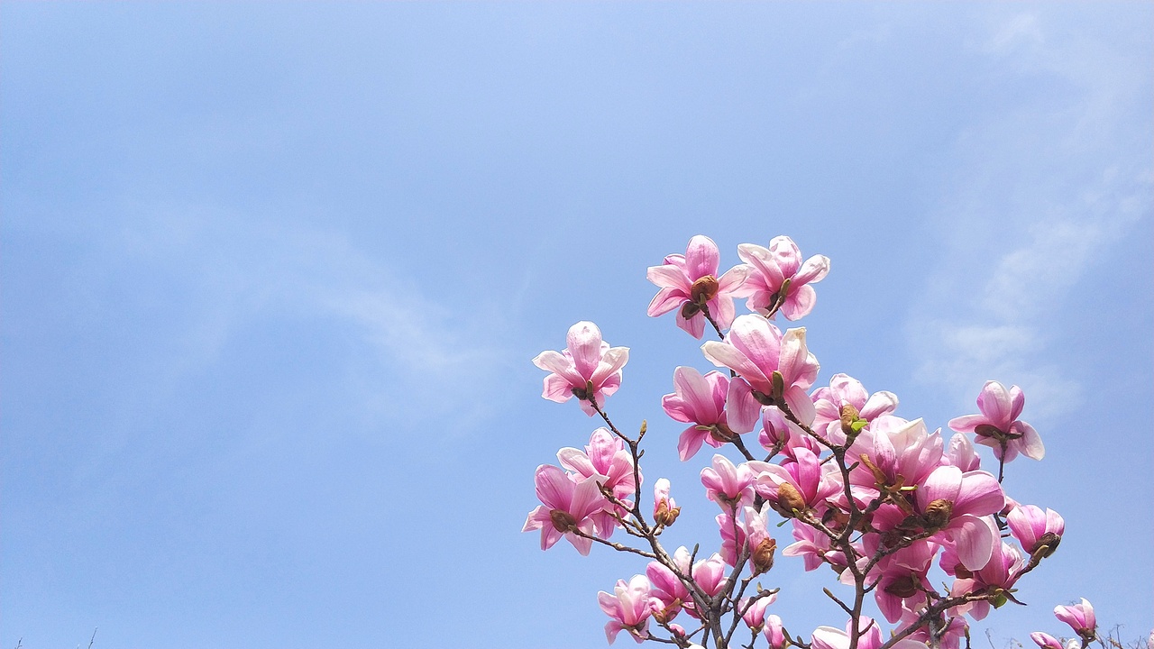 FROGLEE毕业作品集（图ZMjMxNjgzMzgw） - 图案 - 站酷设计师FrogLee原创素材 - 站酷ZCOOL