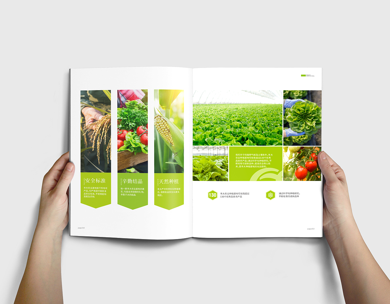 成都画册设计/农业画册/农产品画册（图ZMjAwNTUxNzE2） - 书籍/画册 - 站酷设计师成都专业画册设计原创素材 - 站酷ZCOOL