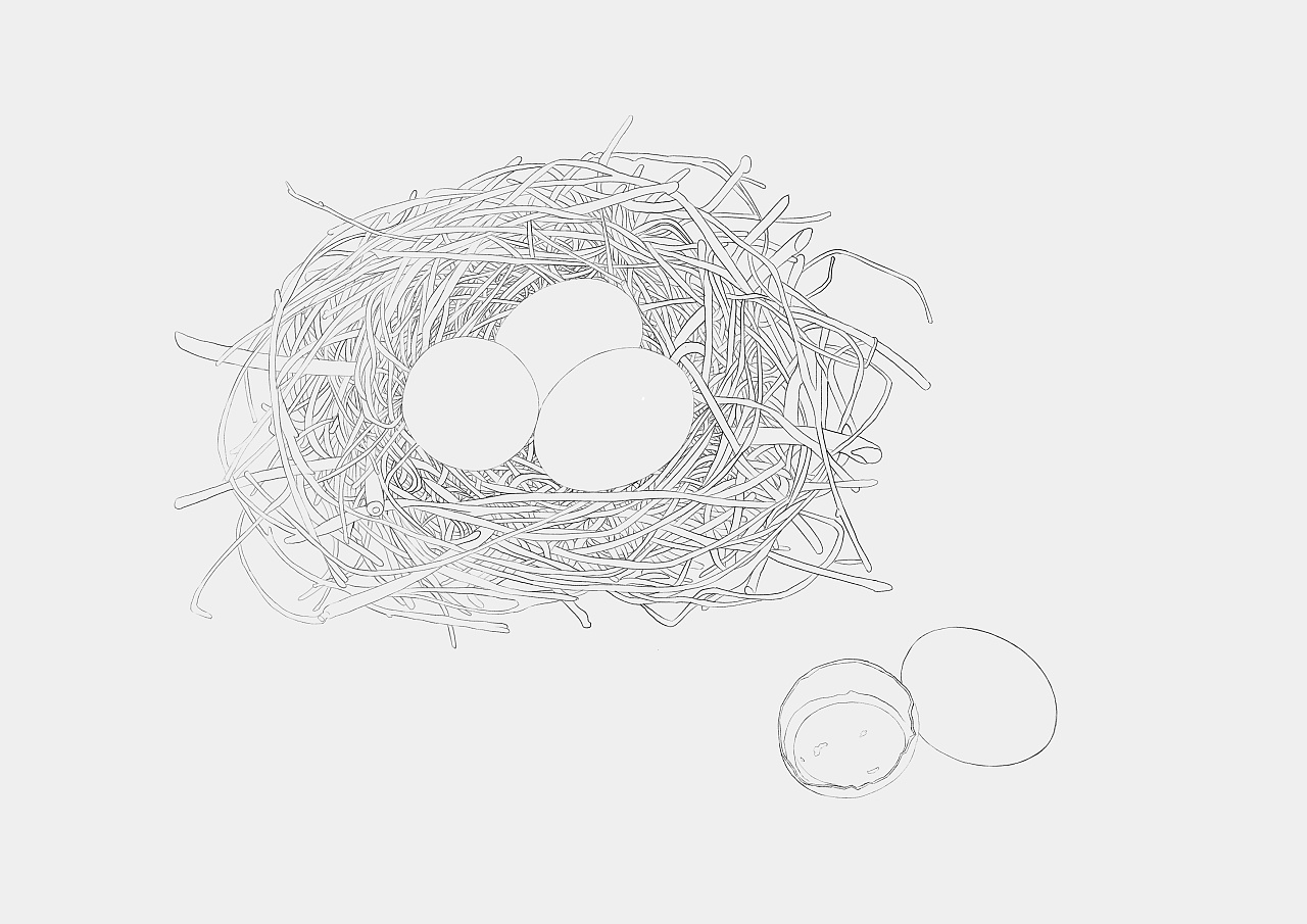 鸡蛋插画·鸡窝
