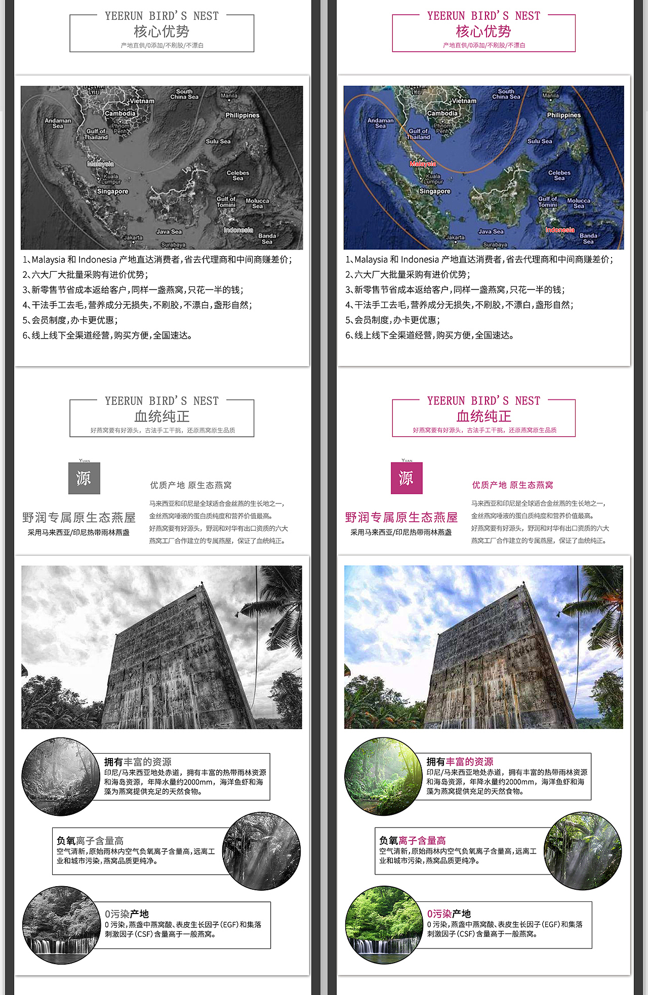 指尖设彩燕窝详情案例