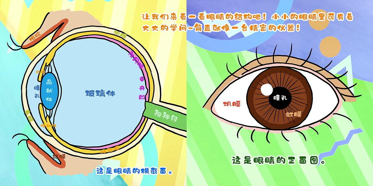 儿童科普绘本《我们的眼睛》配套视频(毕设的一部分)