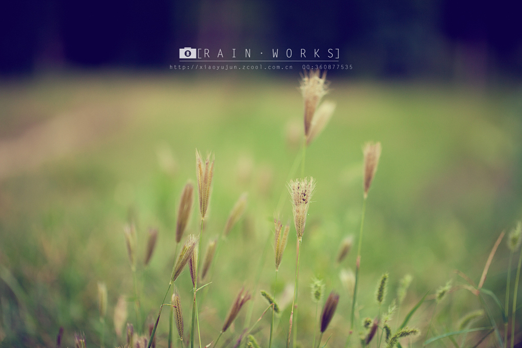 20140914纯粹与静谧之间