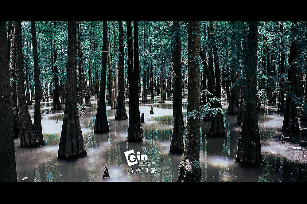 拍照 | 肇庆夏旅行、